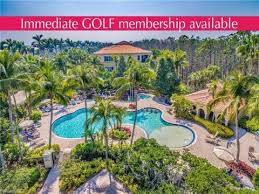 Image result for Tropic Green 2000 Tiburon