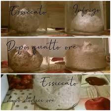 We did not find results for: Essiccare Il Lievito Madre Come Conservarlo Quando Si Va In Vacanzaricettalicoli Il Barattolo Delle Idee