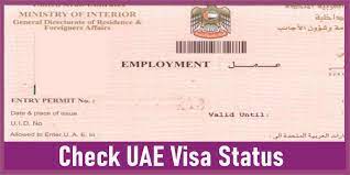 Pin On Visa Guide