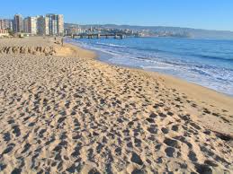 Viña del mar, city and pacific ocean resort, central chile. Vina Del Mar Travel Guide At Wikivoyage