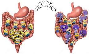 artificial sweeteners ile ilgili görsel sonucu