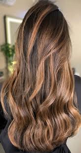 20 trendy hair colors you'll be seeing everywhere in 2021. Gorgeous Hair Colour Trends For 2021 Warm Light Brown Hair Colour