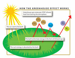 How The Greenhouse Effect Works Greenhouse Effect Global Warming Greenhouse Gases