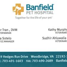Explore banfield pet hospital's job openings, read about the company culture, and see what employees love about working there. Banfield Pet Hospital Logo Pet S Gallery