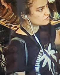 Hi please help me find these two they didn't pay for their booze at Pick n  Pay Farrarmere Sheridan rd Benoni