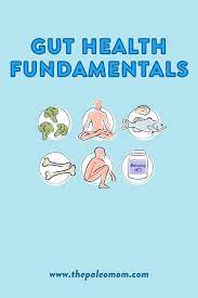 Pin On Gut Health