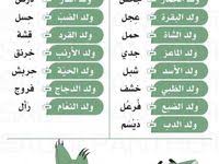 December 28, 2020 asif786 uncategorized. Free Cccam Server 2020 All Satellites Free Hd Cccam Server For 5 Years Free Online Tv Channels Best Server Satellites