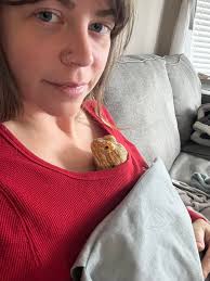 Cold Morning Snuggles with Pets