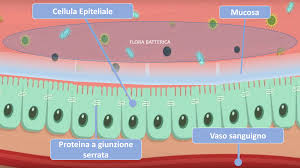 microbiota3