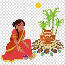 thai pongal makar sankranti wish pongal festival with cow transparent background png clipart hiclipart thai pongal makar sankranti wish