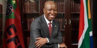 Share julius malema quotations about voting. President Julius Malema