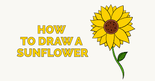 How To Draw A Sunflower Really Easy Drawing Tutorial Easy Drawings Drawing Tutorials For Kids Drawing Tutorial Easy