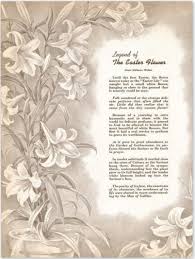 Legend Of The Easter Flower Easter Lily Found On Etsy Easter Lily Easter Pictures Easter Flowers