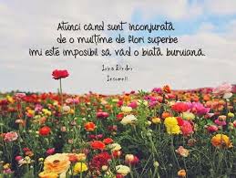 Insomnii Citate Life Quotes Beautiful Words Quotes