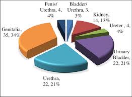 Image result for Genitourinary Trauma