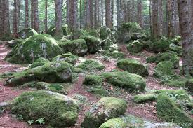 Delle rinomate terme di masino oggi rimangono solo delle solitarie costruzioni in mezzo ad una verdeggiante foresta e massicce pareti montuose. Escursione Ai Bagni Di Masino Itinerario Per Tutti Dai Che Partiamo Travel Blog