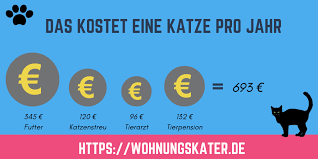 Bedenken sie zusätzliche kosten wie z.b. Was Kostet Eine Katze Wohnungskater De
