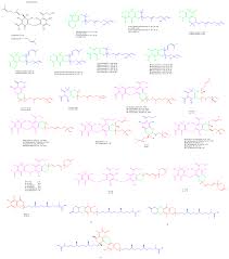 Image result for Menisorus pauciflorus