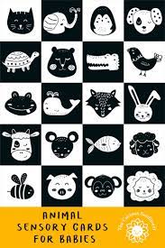 Animals High Contrast Baby Cards In Black And White Etsy Cards Baby Flash Cards Diy Baby Stuff