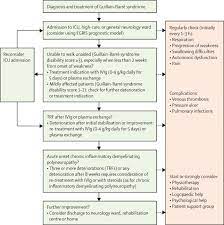 Guillain Barre Syndrome The Lancet