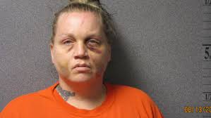 Woman pleads guilty to killing Fort Ransom Arena Association founder in  crash