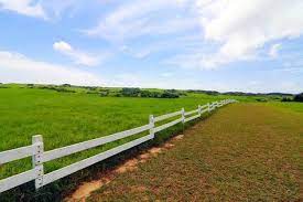 derek design 比windows桌布更美的大草原 墾丁籠仔埔大草原 country roads photography road