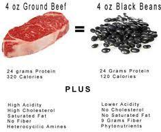 15 best plant protein vs meat protein images plant protein