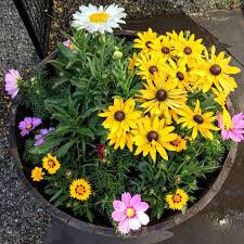 Anyone who talks trash on it doesnt know is 5 $ for 1.5 cu foot and fox farm is 20 per 1.5 cu foot so i figure thats 15 more. Miracle Gro All Purpose Garden Soil 20 Pound Fry S Food Stores