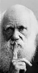 Ryan Boylan (@BiologyBoylan)