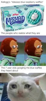 If You Want Some Of These Breakfast Treats Just Google Blue Waffles Memes