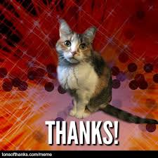 51 Nice Thank You Memes With Cats Vacation Meme Cat Memes Funny Cat Pictures