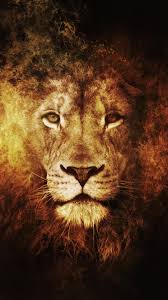 Pin By Tacita On Art Painting In 2020 Lion Hd Wallpaper Lion Artwork Lion Pictures