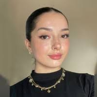 40+ "Husar" profiles