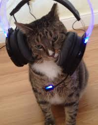Kitty Headset In Ear Headphones Headset Kitty