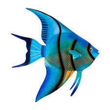 Angelfish Face Right Os144 Etsy In 2020 Fish Drawings Fish Art Fish Painting