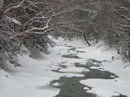 Our cabins are nestled along the bank of the river. Pemi Cabins Updated 2021 Prices Campground Reviews And Photos Lincoln New Hampshire White Mountains Tripadvisor
