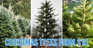 6 best christmas light displays ever!!! 10 Places To Buy Cheap Christmas Trees In Singapore Real Artificial Options From 10