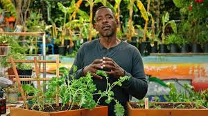 Masterclass Ron Finley Teaches Gardening In 2020 Fine Gardening Teaching Organic Gardening Pest Control