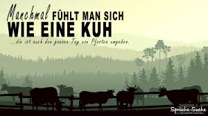 Sprüche Zum Abschied Für Kollegen