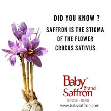 Pin Di Baby Brand Saffron