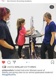 We offer full grooming services in san antonio, texas beautiful lone star state. Mariana Thegroomer Mariana89288090 Twitter