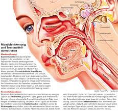 Tinnitus Gesundheitsberater Berlin