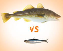 And krill oil is even worse, generally only about 200mg of dha/epa (per 1000mg capsule). Cod Liver Oil Vs Fish Oil Thera Health