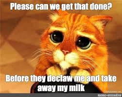 Meme Please Can We Get That Done Before They Declaw Me And Take Away My Milk All Templates Meme Arsenal Com