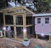 First time chicken pet owner seeking coop ideas