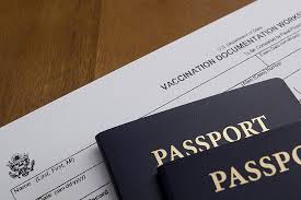 Image result for Travel Immunization