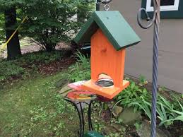 In fact, the male follows me around the house while i'm out planting flowers. 11 Tips To Attract Hummingbirds And Orioles To Your Yard This Summer