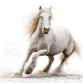 Equine Mastery: A Hybrid Artist Workshop
