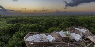 We definitely recommend this hotel! it is based on the main junction of tulum. Unique Hotel In Mexico Azulik Tulum Mostuniquehotels Com