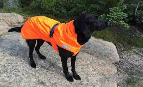 Hurtta Summit Parka Dog Coat